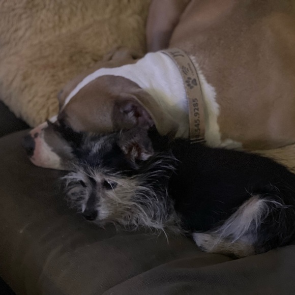 Meet the Posher Other - Meet your Posher, Jennifer